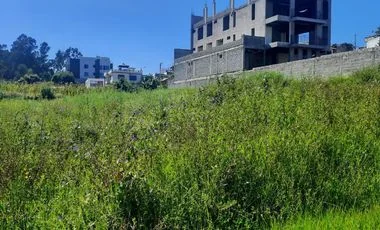Terreno en venta en Tumbaco — imagen 4
