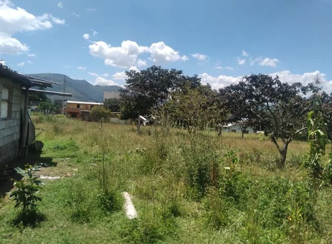 Terreno en venta en Tumbaco — imagen 3