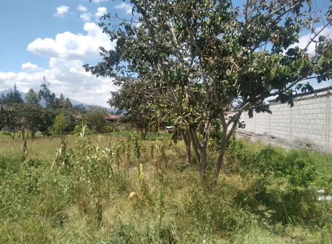 Terreno en venta en Tumbaco — imagen 2