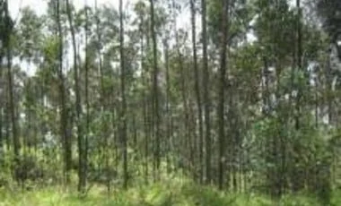 Terreno en venta en Mejia — imagen 4
