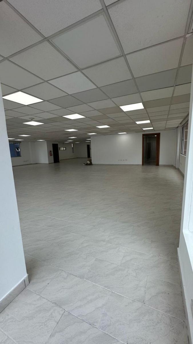 Venta Oficina 415 m² Luminosa - República del Salvador — imagen 9