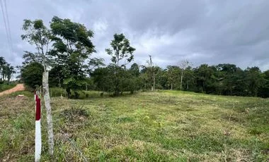 Terreno en venta en Santo Domingo — imagen 5