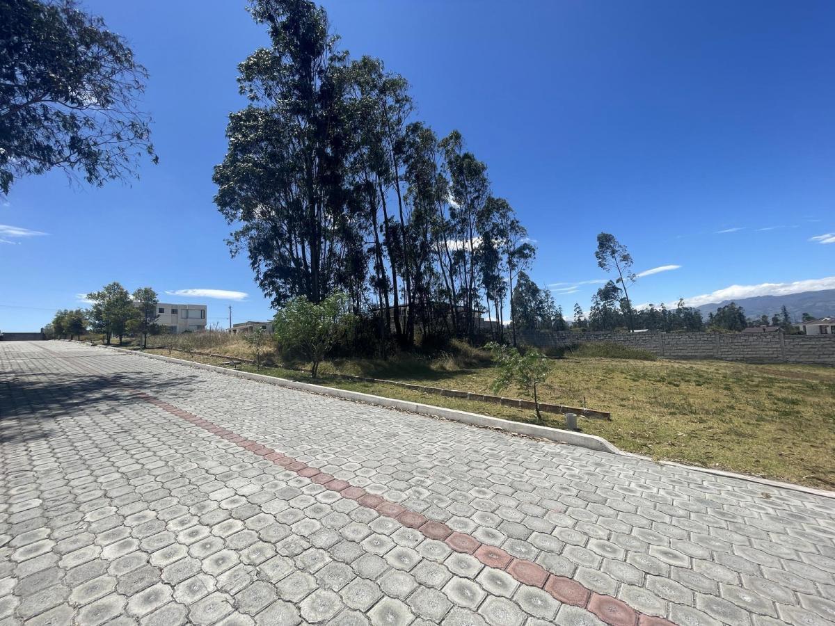 Terreno Independiente en Venta Llano Chico, Av Simon Bolivar — imagen 10