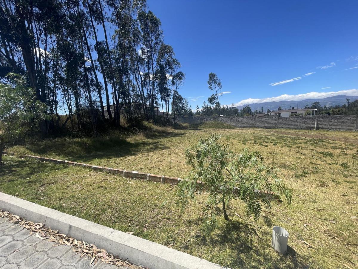 Terreno Independiente en Venta Llano Chico, Av Simon Bolivar — imagen 9