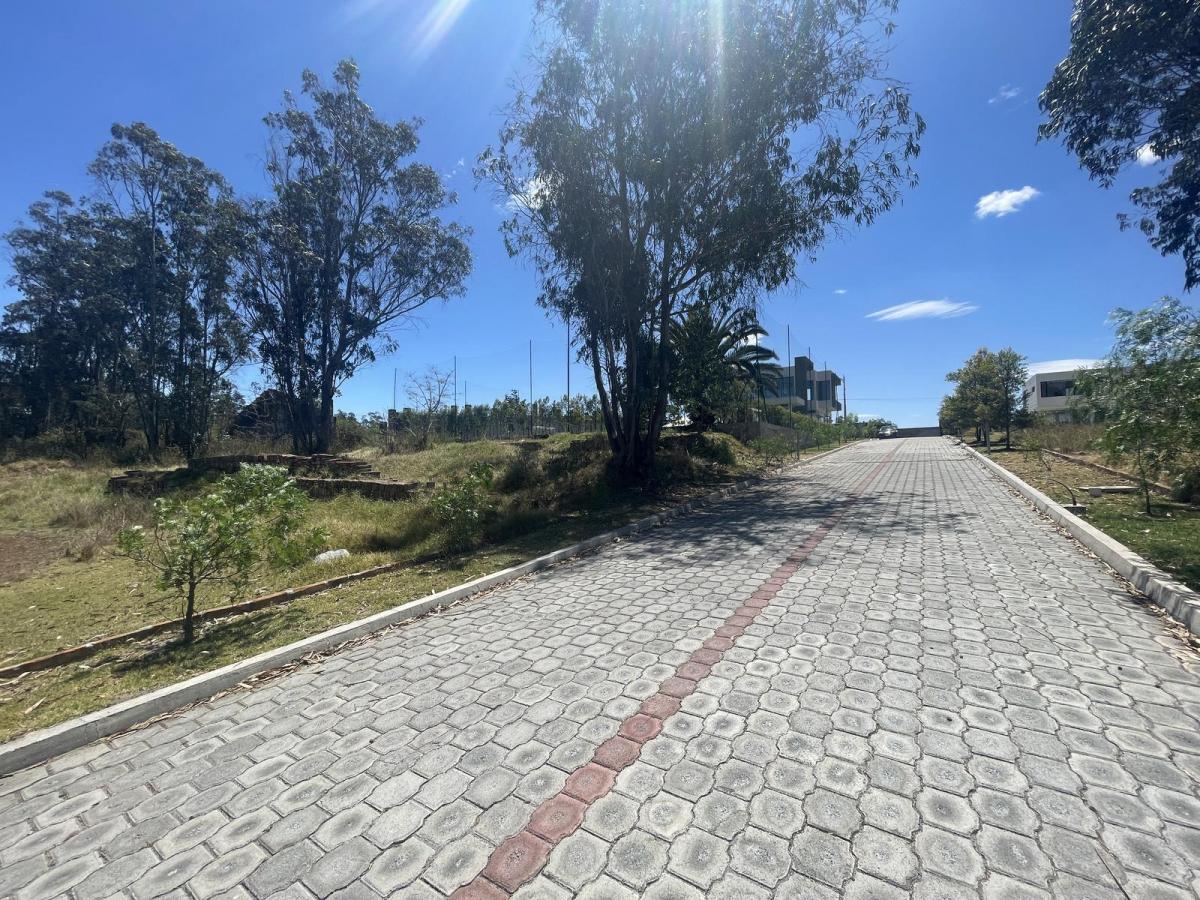 Terreno Independiente en Venta Llano Chico, Av Simon Bolivar — imagen 8