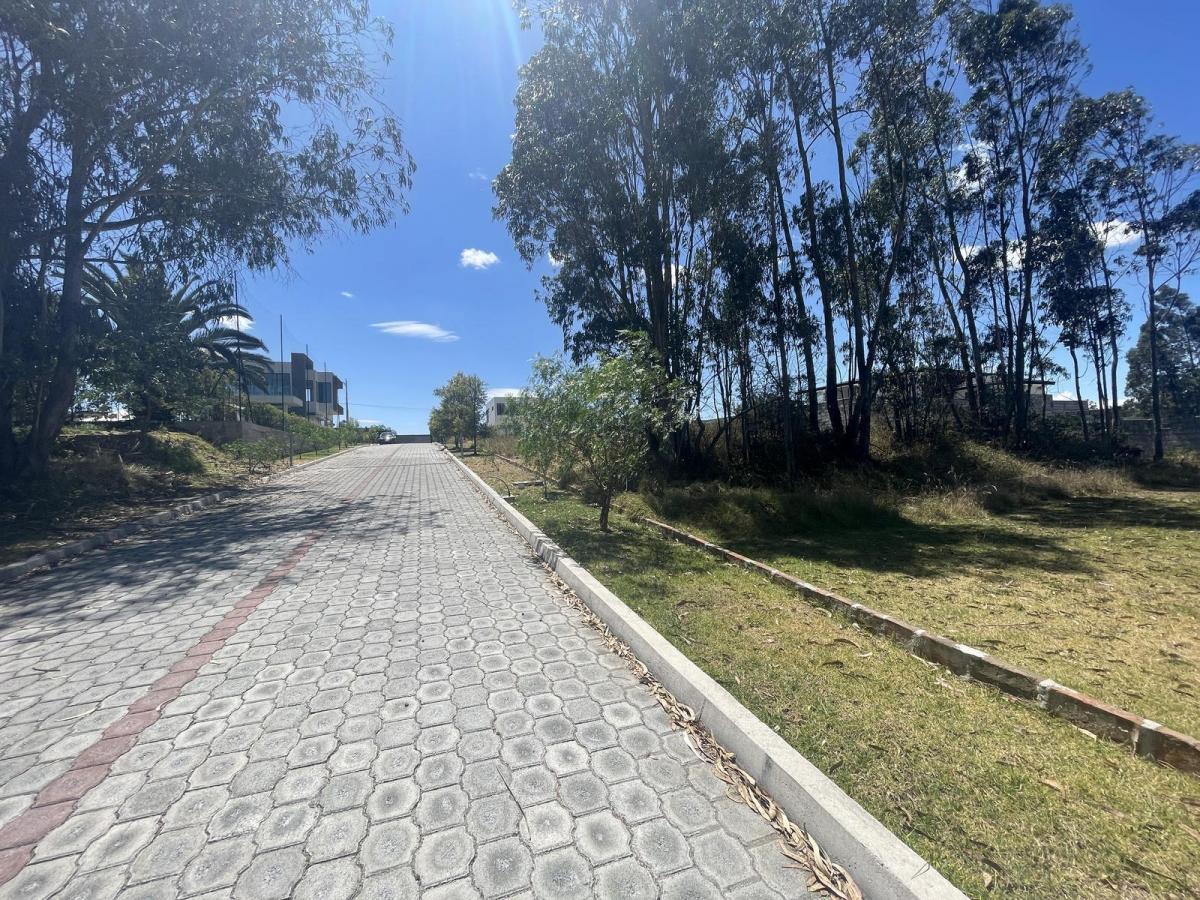 Terreno Independiente en Venta Llano Chico, Av Simon Bolivar — imagen 7