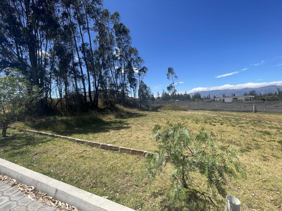 Terreno Independiente en Venta Llano Chico, Av Simon Bolivar — imagen 6