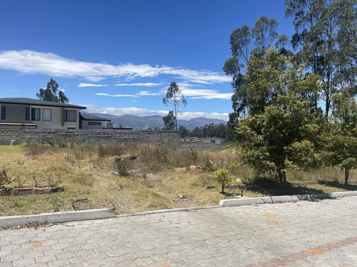 Terreno Independiente en Venta Llano Chico, Av Simon Bolivar — imagen 2