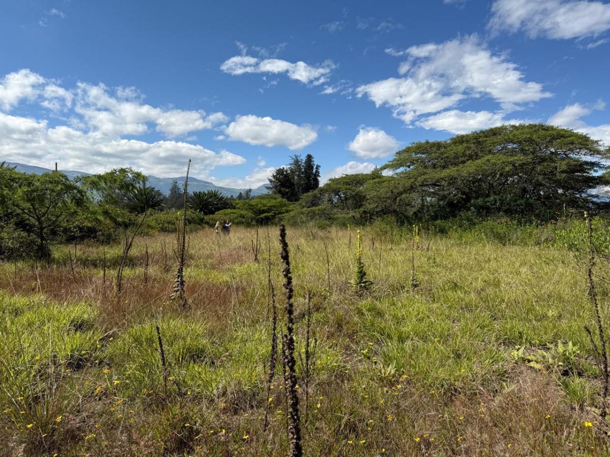 Terreno en Venta - Puembo, Sector Arrayanes — imagen 2
