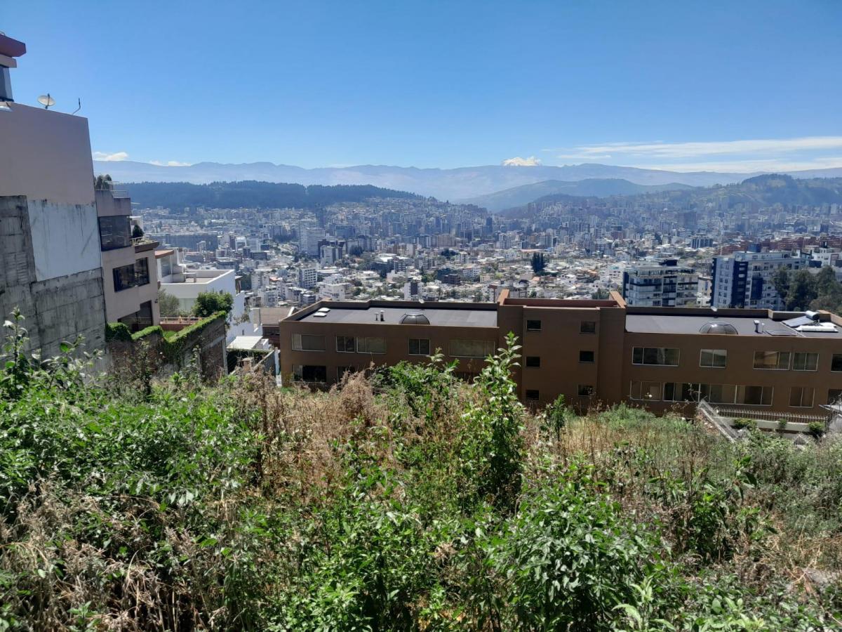 Terreno en Venta en Colinas de Pichichas 1647 m. Provincia de Pichincha — imagen 10