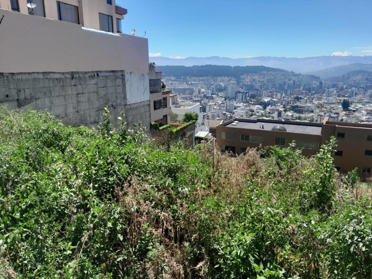 Terreno en Venta en Colinas de Pichichas 1647 m. Provincia de Pichincha — imagen 6