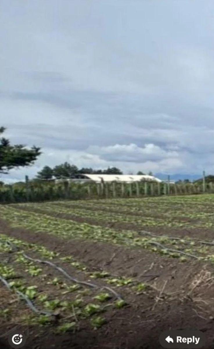 Terreno Plano en Tababela, Sector El Guambi — imagen 2
