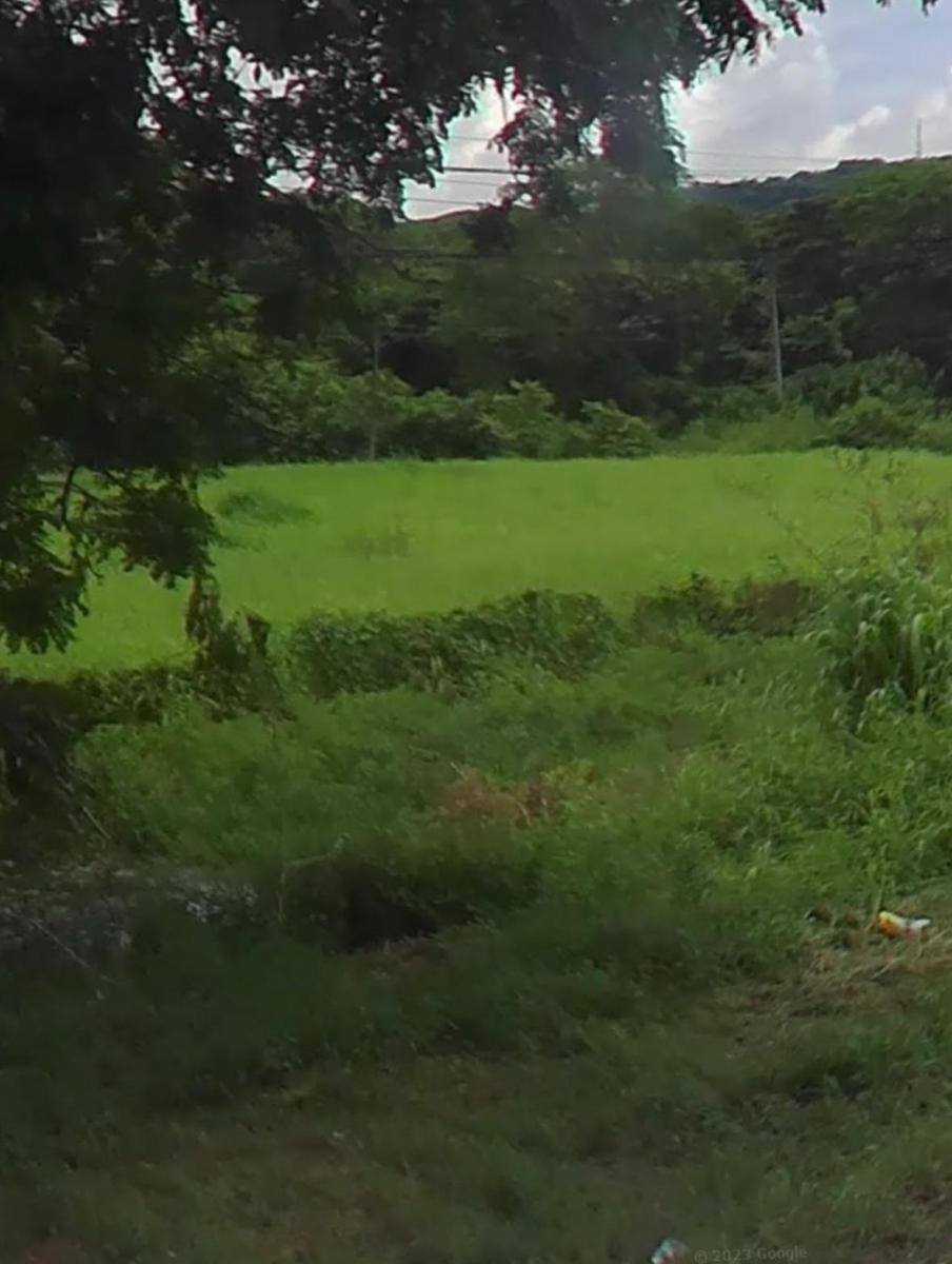 2.36has de Terreno en Km 20 Vía Daule, Guayas — imagen 5