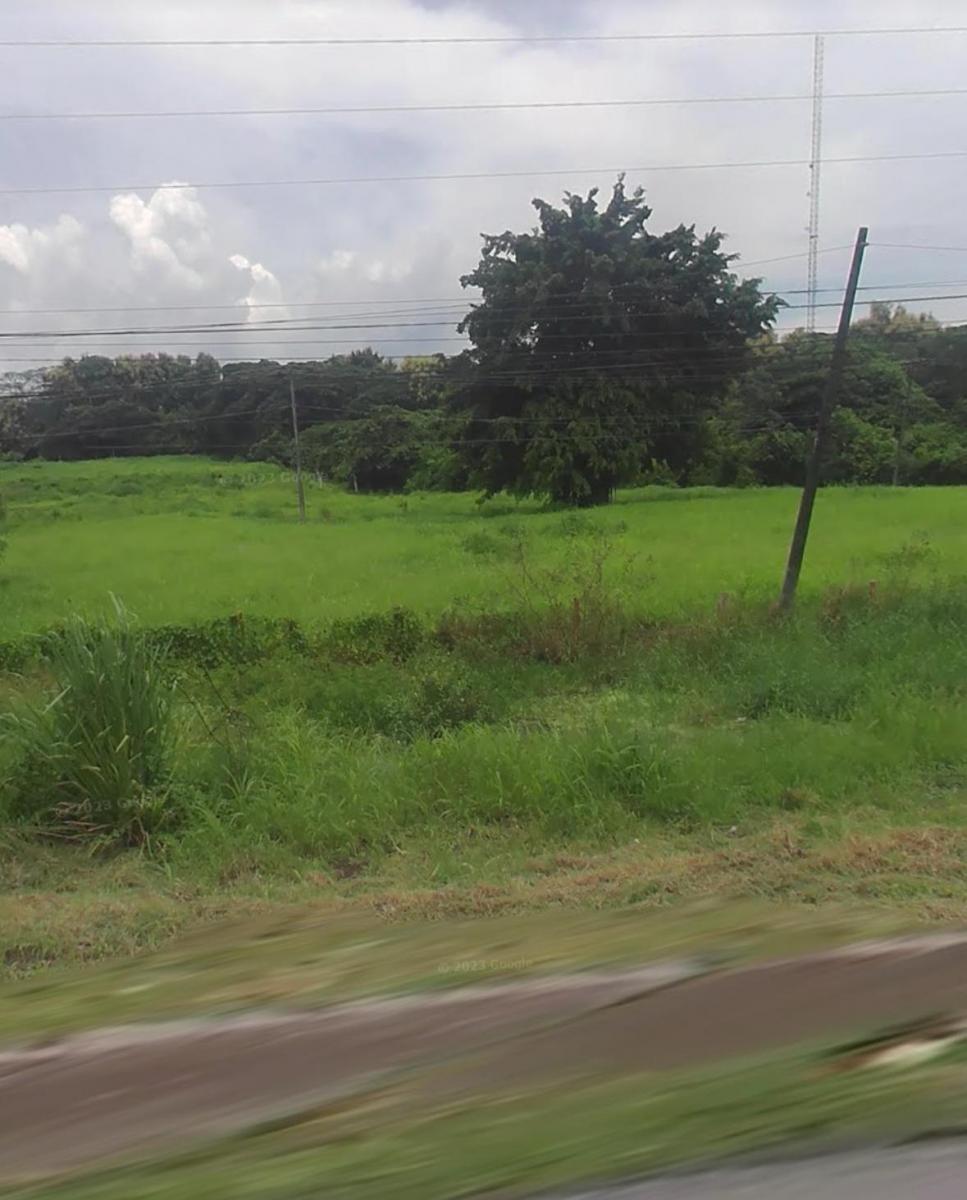2.36has de Terreno en Km 20 Vía Daule, Guayas — imagen 4