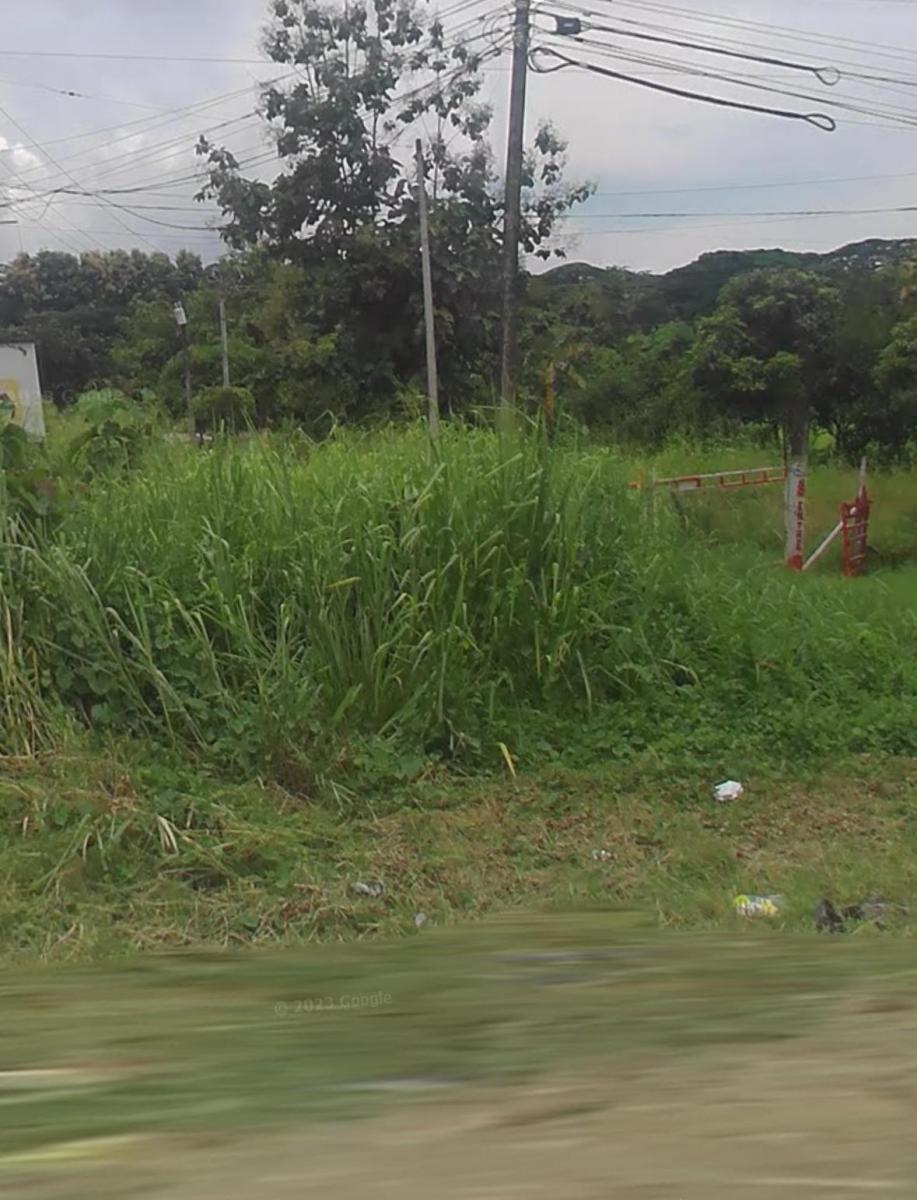 2.36has de Terreno en Km 20 Vía Daule, Guayas — imagen 3
