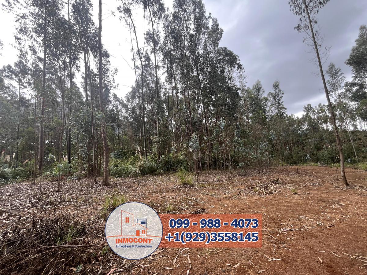 Terreno Plano de Venta en Zona Vacacional Para Proyecto Turístico, Inmobiliario o Inversión, Azuay — imagen 8