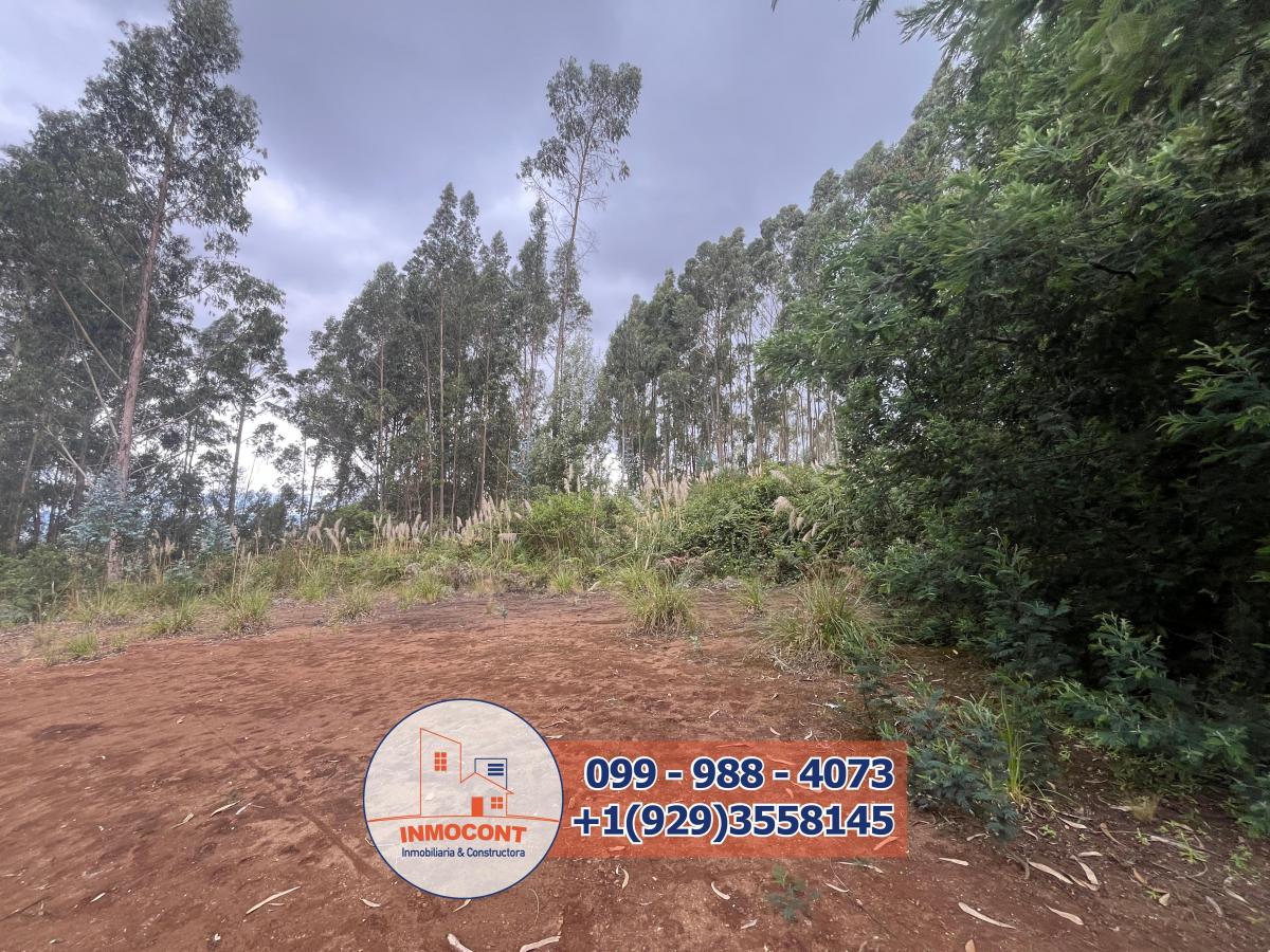 Terreno Plano de Venta en Zona Vacacional Para Proyecto Turístico, Inmobiliario o Inversión, Azuay — imagen 7