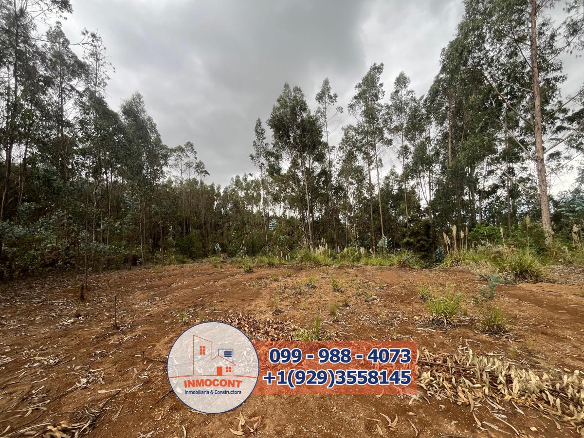 Terreno Plano de Venta en Zona Vacacional Para Proyecto Turístico, Inmobiliario o Inversión, Azuay — imagen 6