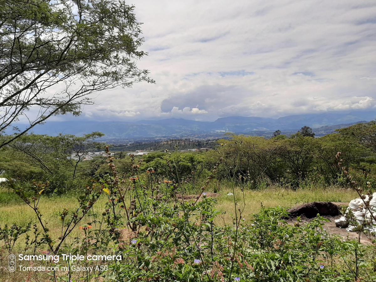 Quinche Terreno Plano 40.000 m² con Abundante Agua Vendo — imagen 10