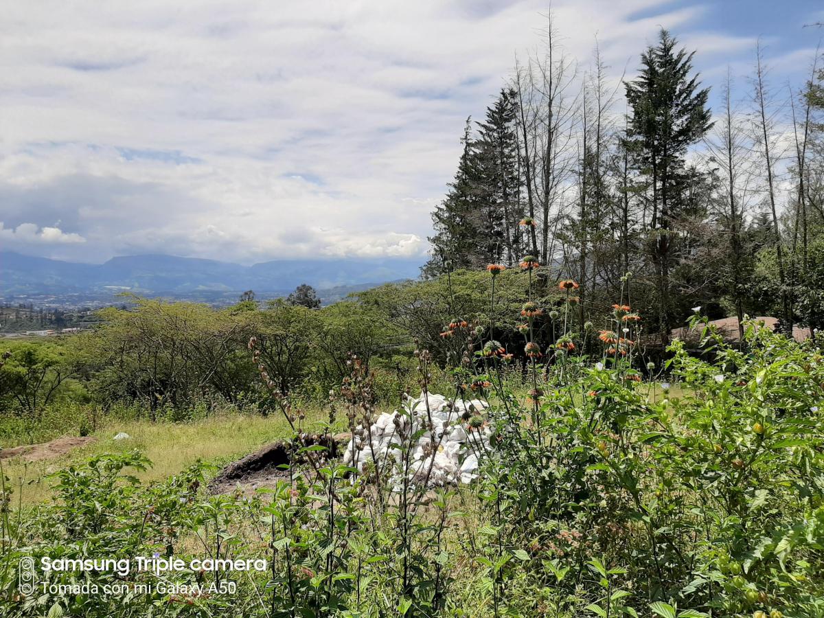 Quinche Terreno Plano 40.000 m² con Abundante Agua Vendo — imagen 9