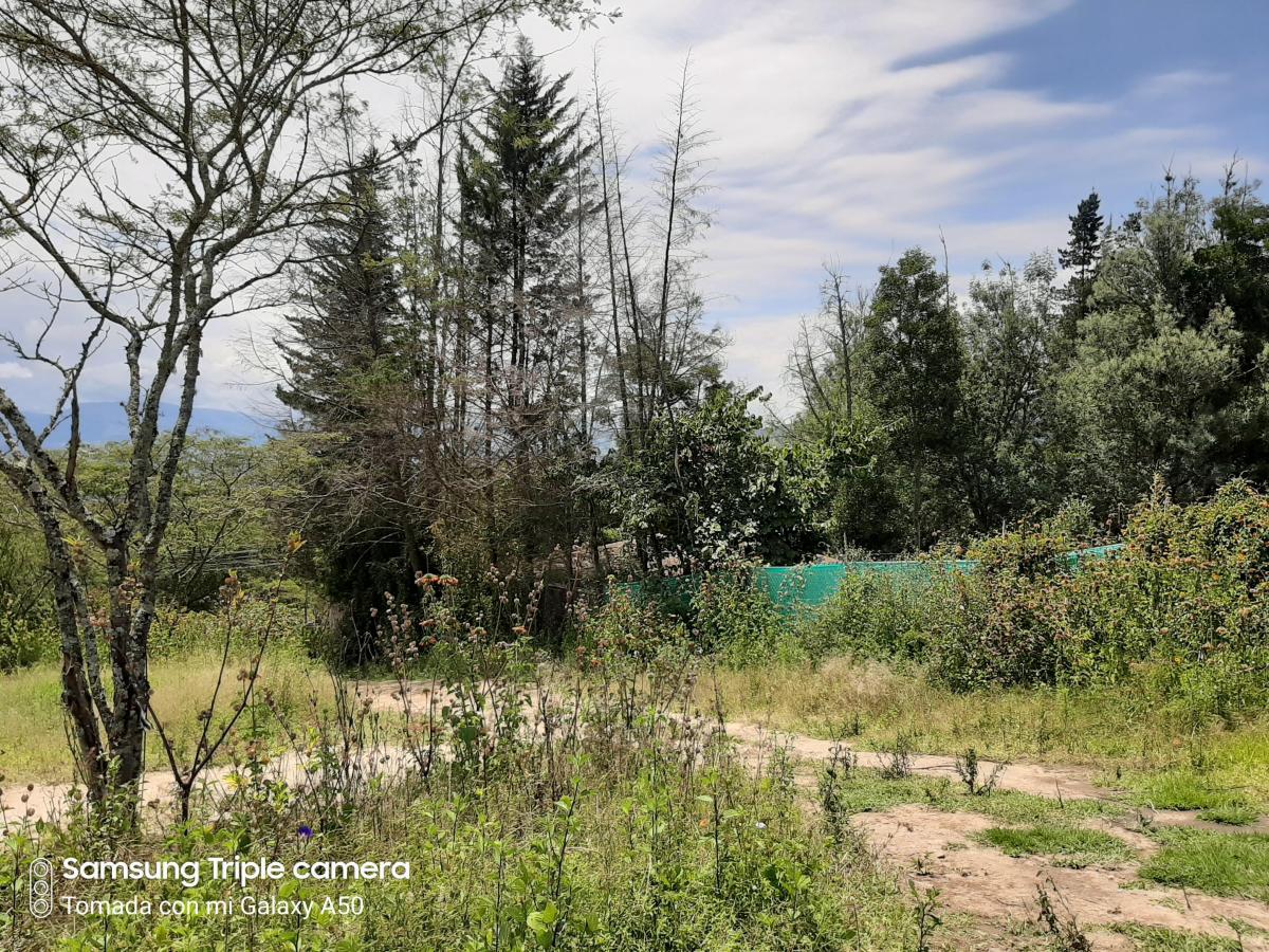Quinche Terreno Plano 40.000 m² con Abundante Agua Vendo — imagen 8