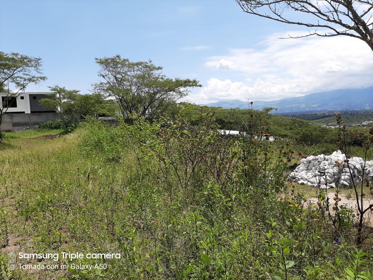 Quinche Terreno Plano 40.000 m² con Abundante Agua Vendo — imagen 7