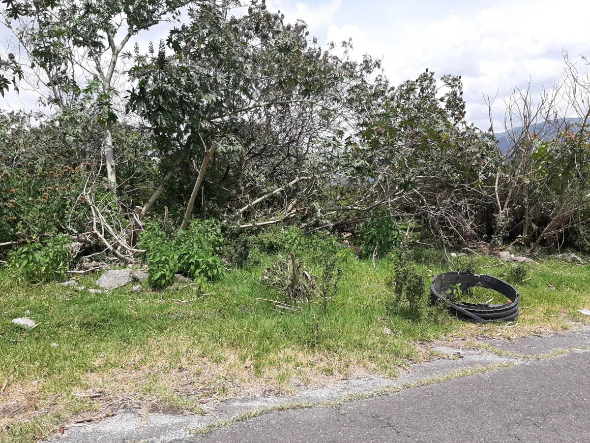 Quinche Terreno Plano 40.000 m² con Abundante Agua Vendo — imagen 6