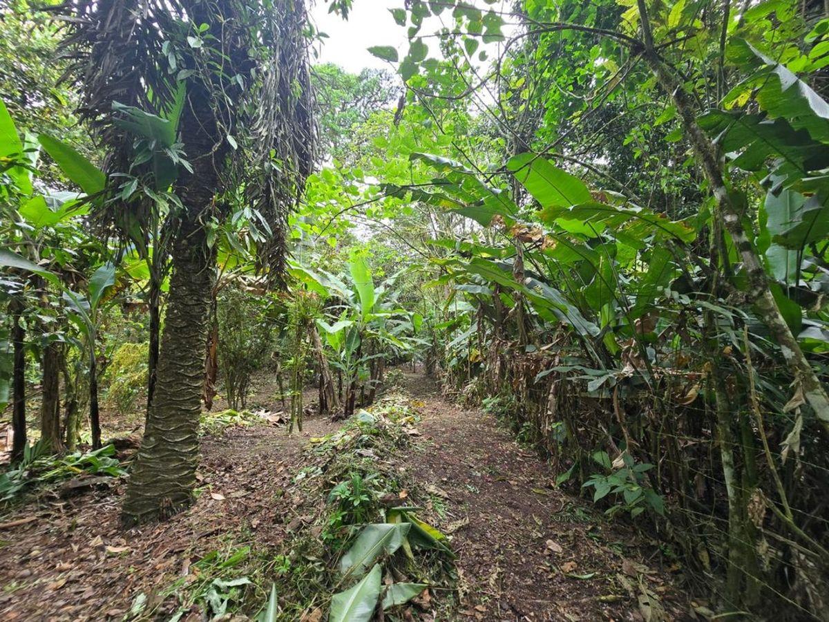 Terreno de Venta en Manta Zona Sur Pacoche, Manabí — imagen 10