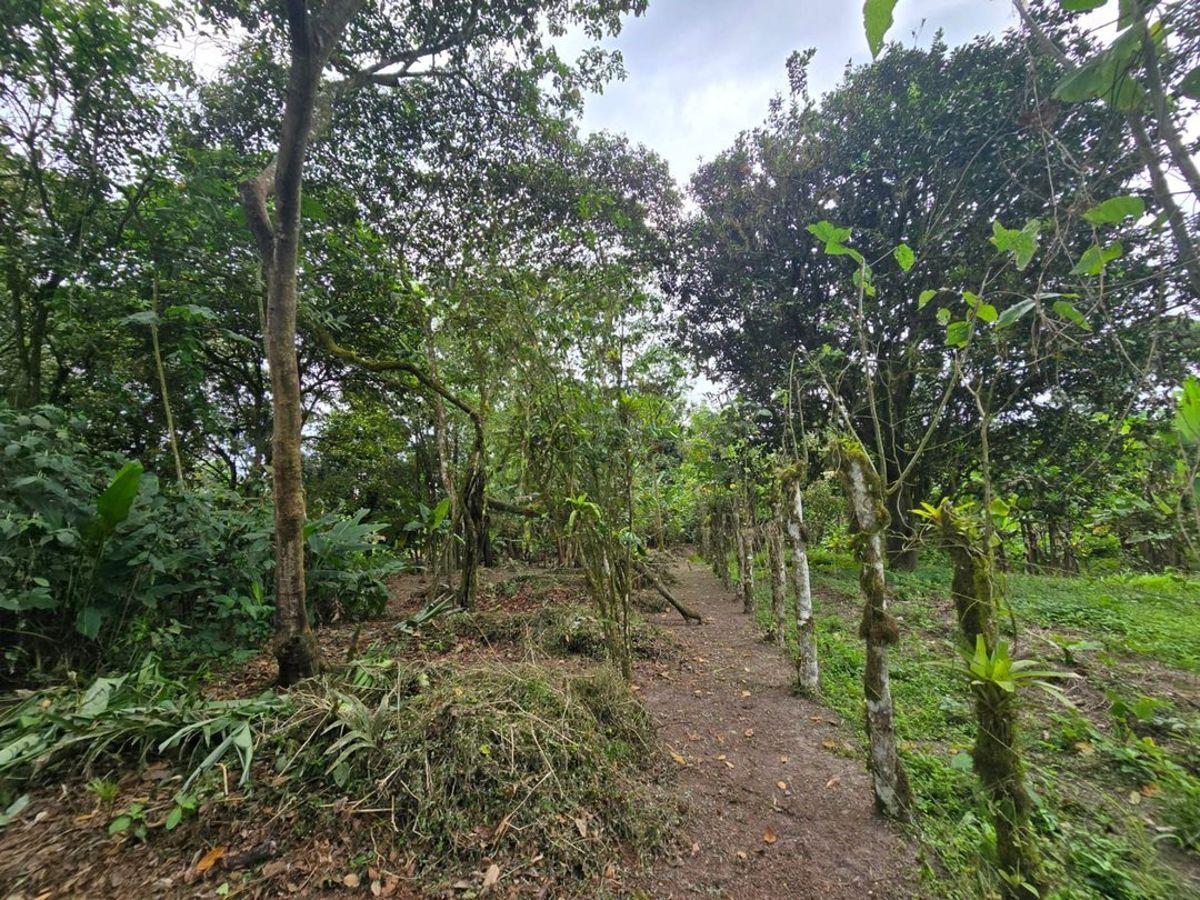 Terreno de Venta en Manta Zona Sur Pacoche, Manabí — imagen 9