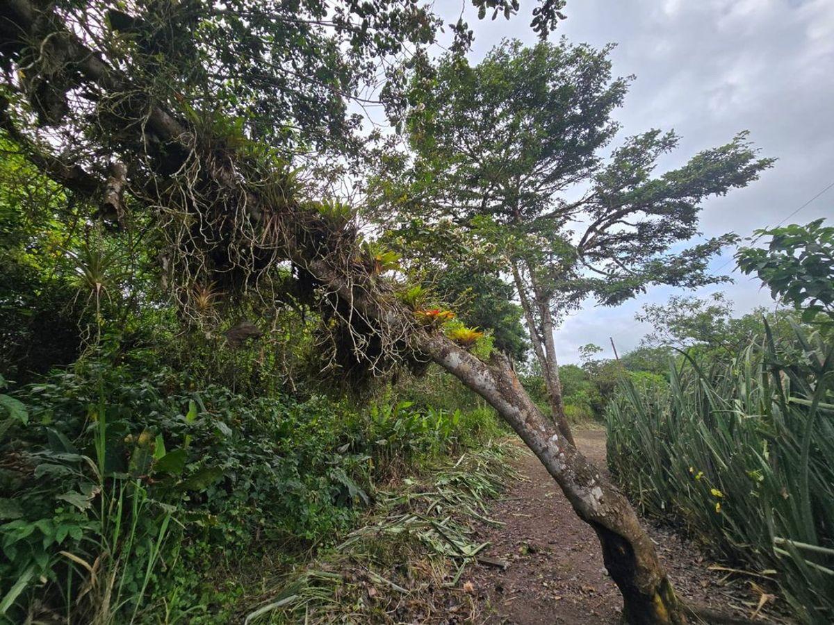 Terreno de Venta en Manta Zona Sur Pacoche, Manabí — imagen 8