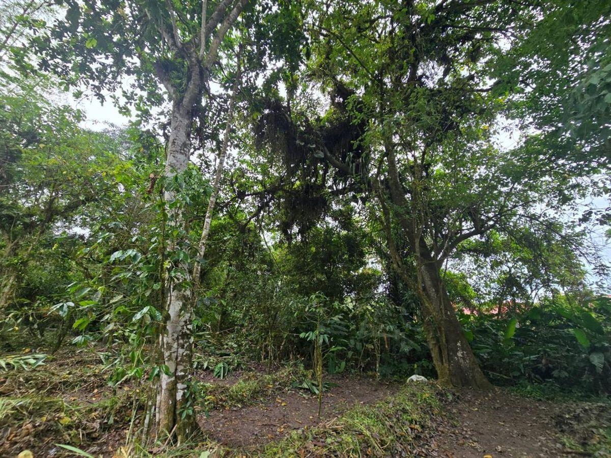 Terreno de Venta en Manta Zona Sur Pacoche, Manabí — imagen 7