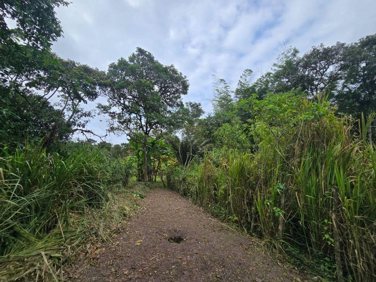 Terreno de Venta en Manta Zona Sur Pacoche, Manabí — imagen 6