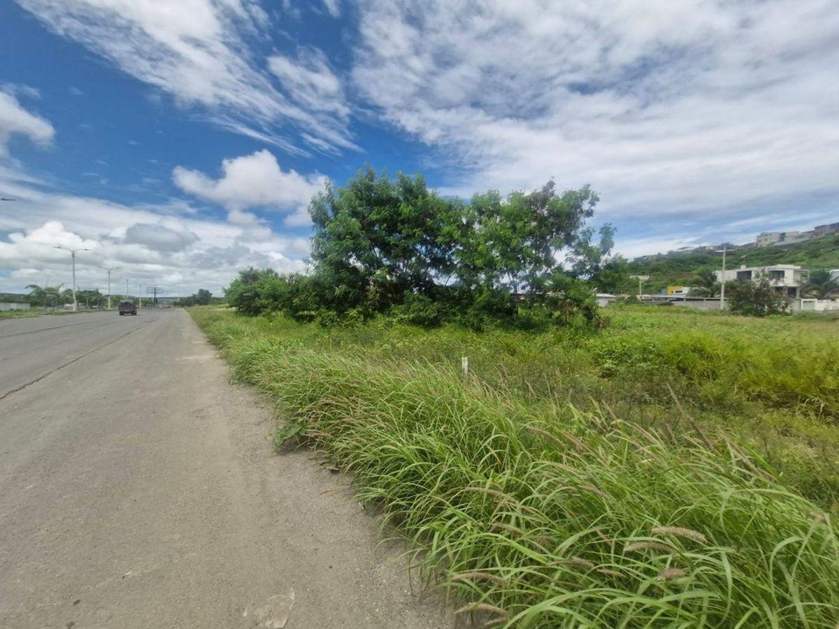 Terreno de Venta en Manta Sector Norte, Manabí — imagen 10