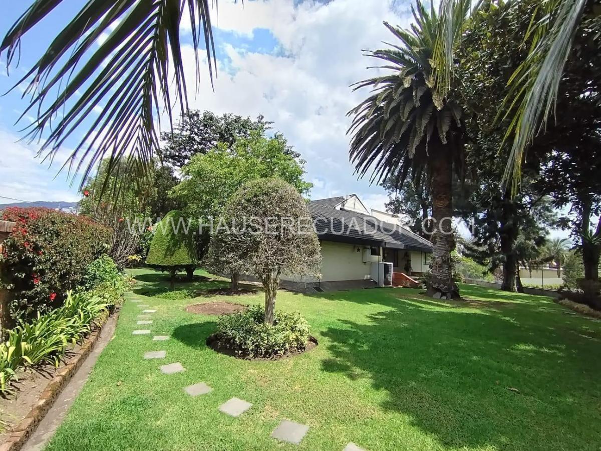Terreno en Venta de 1.111 m² con Casa en San Rafael - El Triángulo con Frente de 39 m² — imagen 10