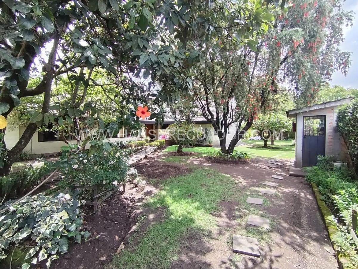 Terreno en Venta de 1.111 m² con Casa en San Rafael - El Triángulo con Frente de 39 m² — imagen 9