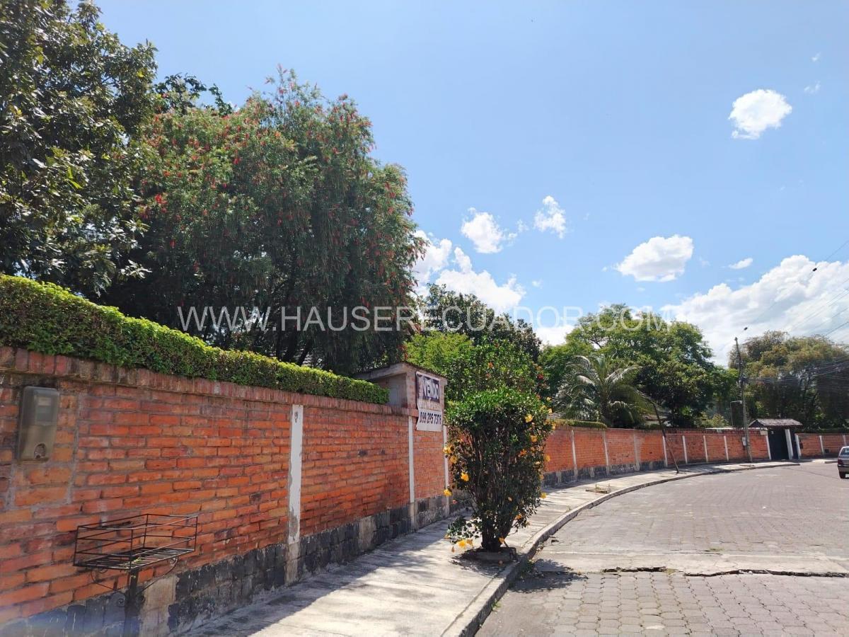 Terreno en Venta de 1.111 m² con Casa en San Rafael - El Triángulo con Frente de 39 m² — imagen 8
