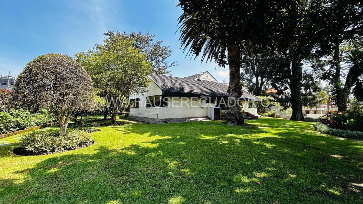 Terreno en Venta de 1.111 m² con Casa en San Rafael - El Triángulo con Frente de 39 m² — imagen 7