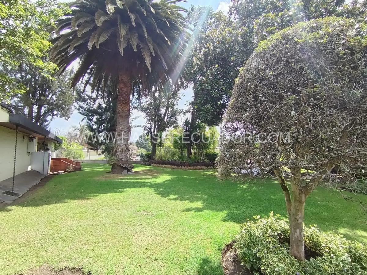 Terreno en Venta de 1.111 m² con Casa en San Rafael - El Triángulo con Frente de 39 m² — imagen 6