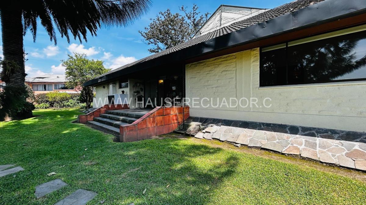 Terreno en Venta de 1.111 m² con Casa en San Rafael - El Triángulo con Frente de 39 m² — imagen 4