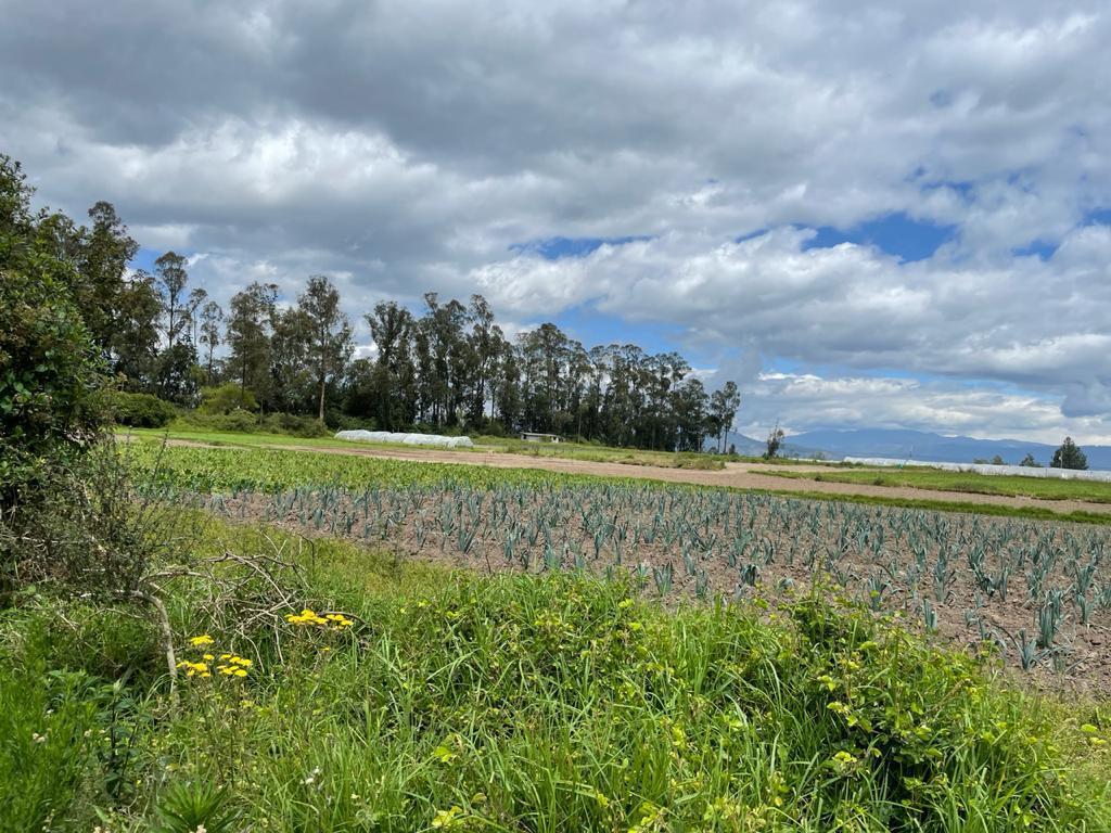 Venta Lotes de Terreno de 7.723 m² Al Filo de Carretera, Via Al Aeropuerto Sector Tababela — imagen 8