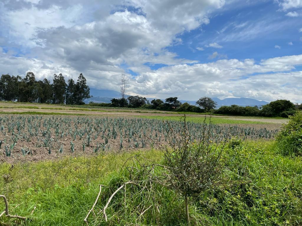 Venta Lotes de Terreno de 7.723 m² Al Filo de Carretera, Via Al Aeropuerto Sector Tababela — imagen 2