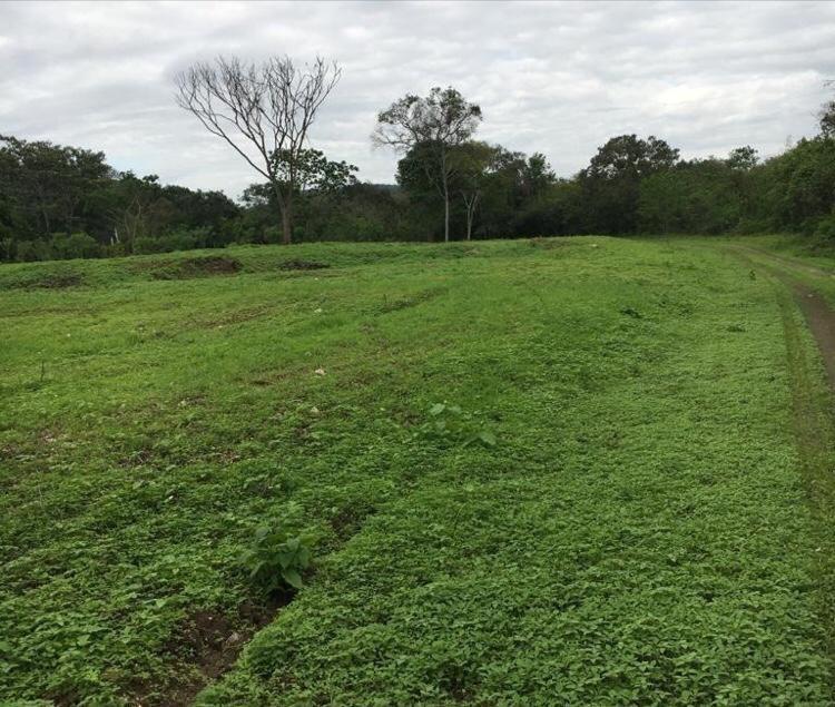 Hacienda en Santa Elena Cacao, Maiz, Platano y Ganadería — imagen 8