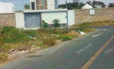 Terreno en venta en Salinas — imagen 4