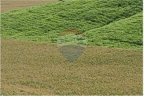 Finca de Venta en Lodana Santa Ana Manabí, Manabí — imagen 10