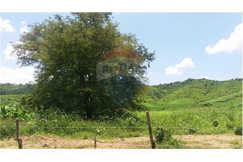 Finca de Venta en Lodana Santa Ana Manabí, Manabí — imagen 8