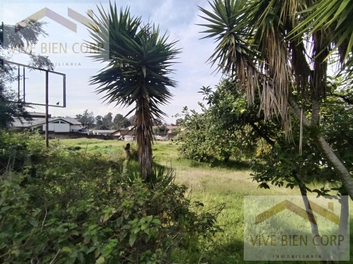 Terreno en Venta, Sector San Gabriel, Valle de Los Chillos — imagen 4