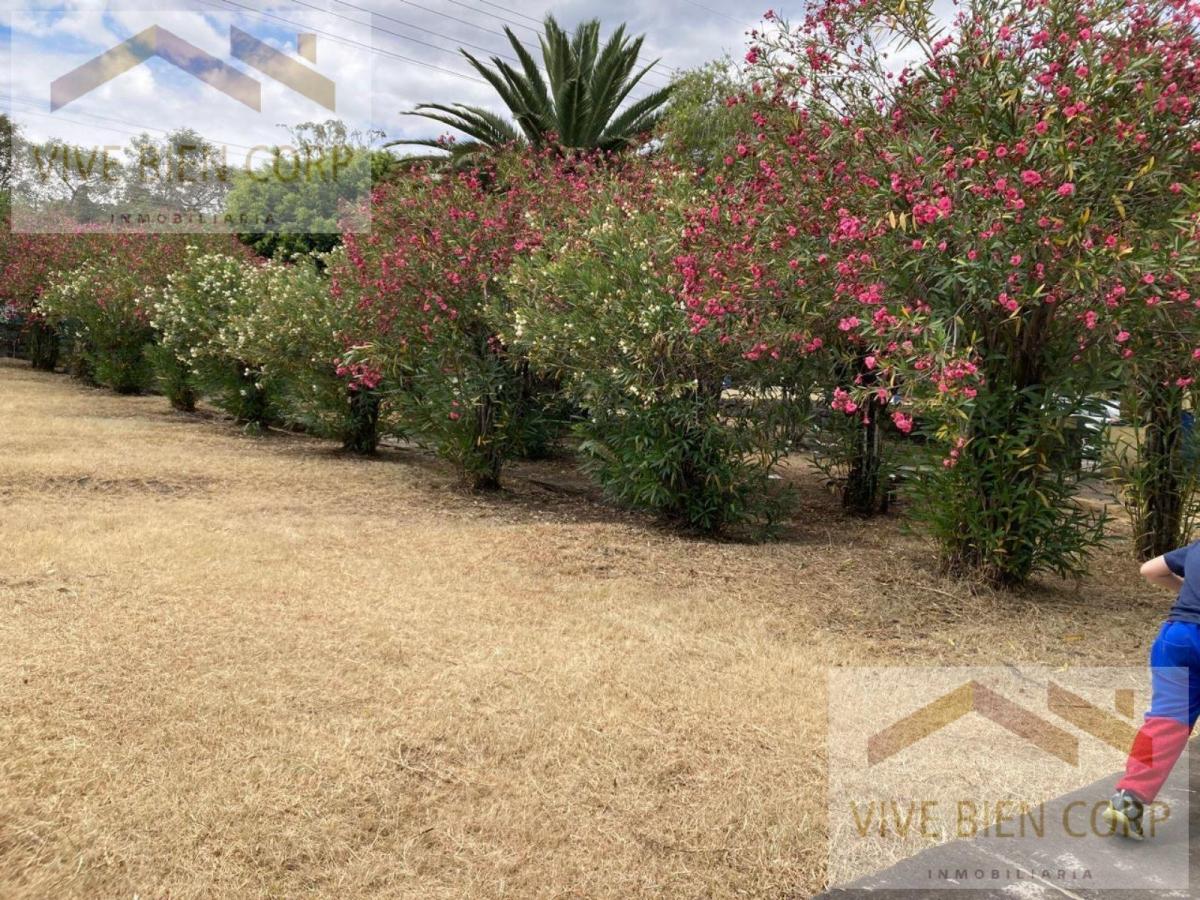 Terreno en Venta, Sector San Gabriel, Valle de Los Chillos — imagen 2