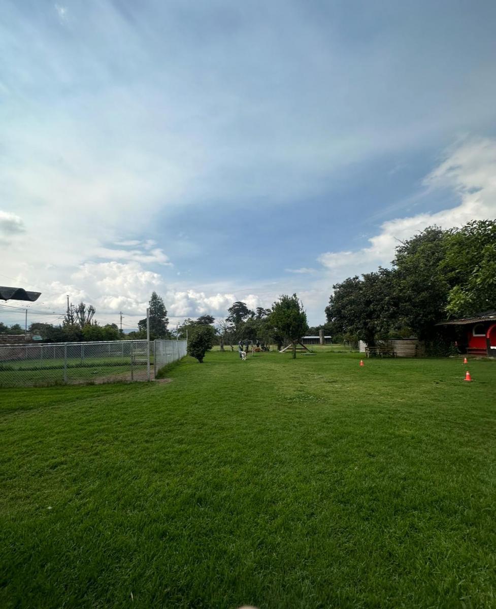 Se Vende Terreno Ideal Para Proyecto Inmobiliario – Tumbaco, La Morita — imagen 9