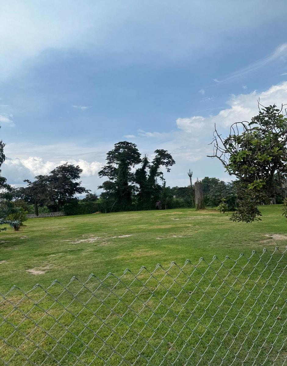 Se Vende Terreno Ideal Para Proyecto Inmobiliario – Tumbaco, La Morita — imagen 8