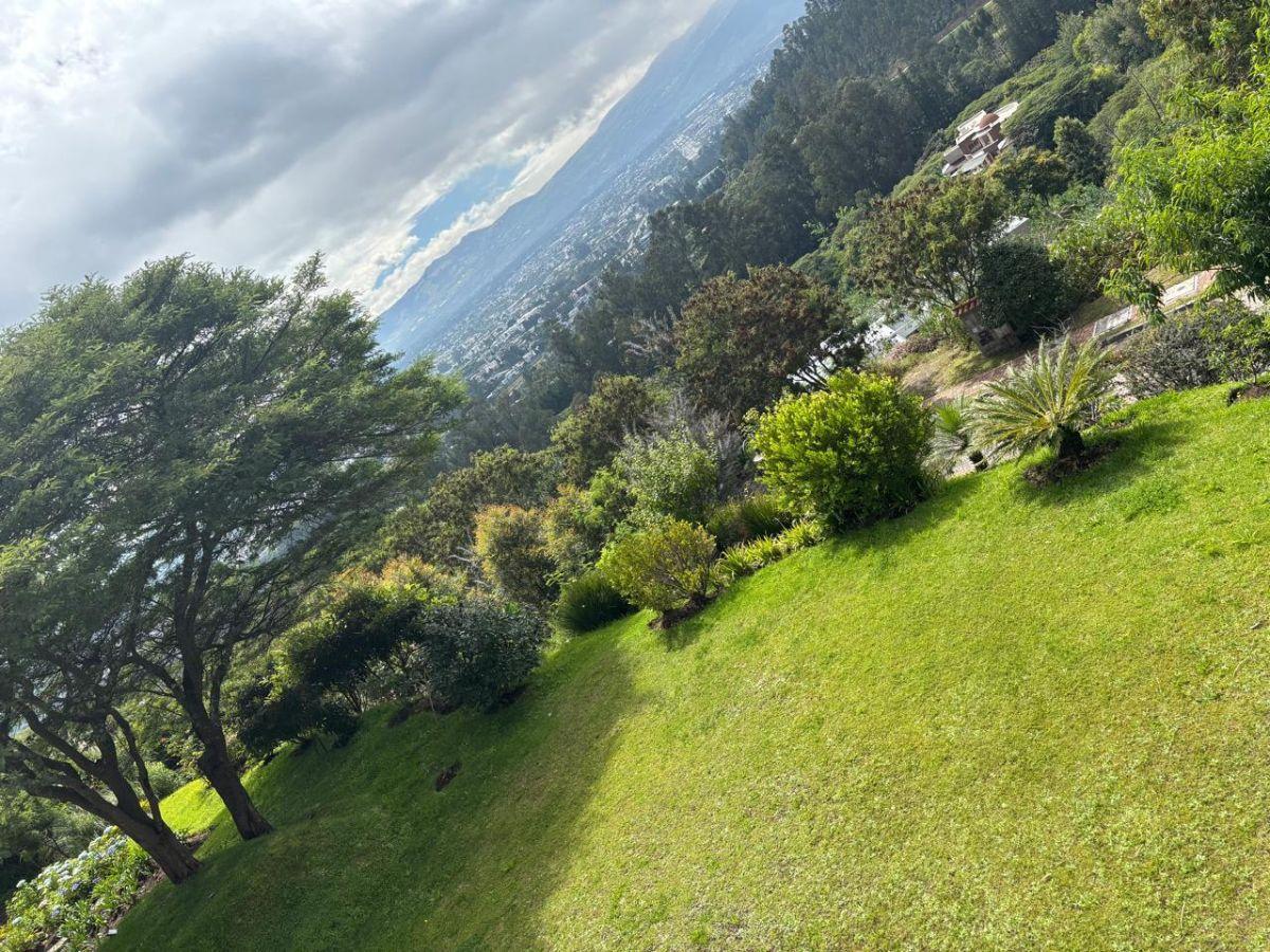 Vendo Hermoso Terreno Plano en Una de Las Mejores Urbanizaciones Cumbaya, a un Paso de Ruta Viva — imagen 7